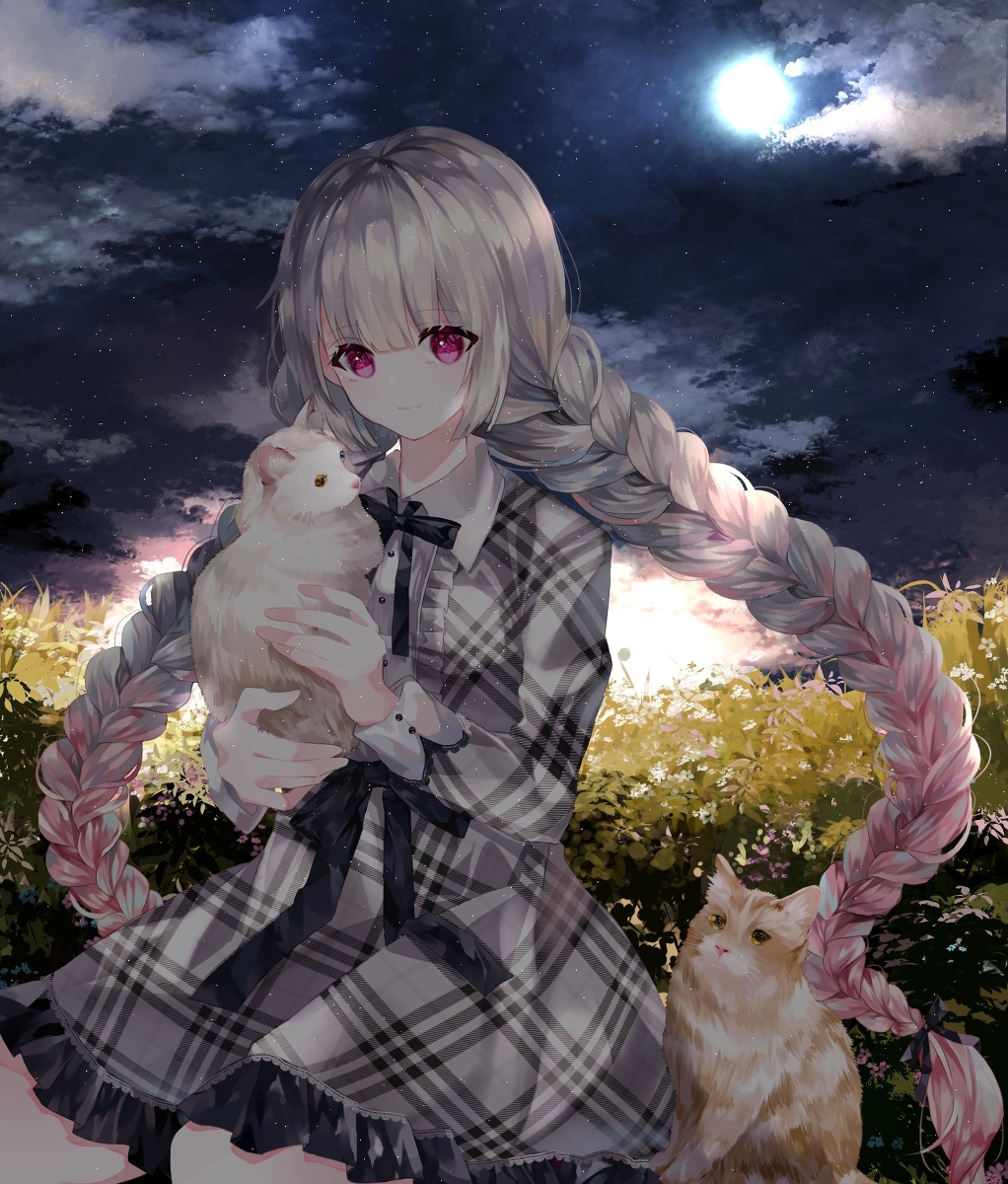 This is a pixiv picture whose title is 依頼絵.