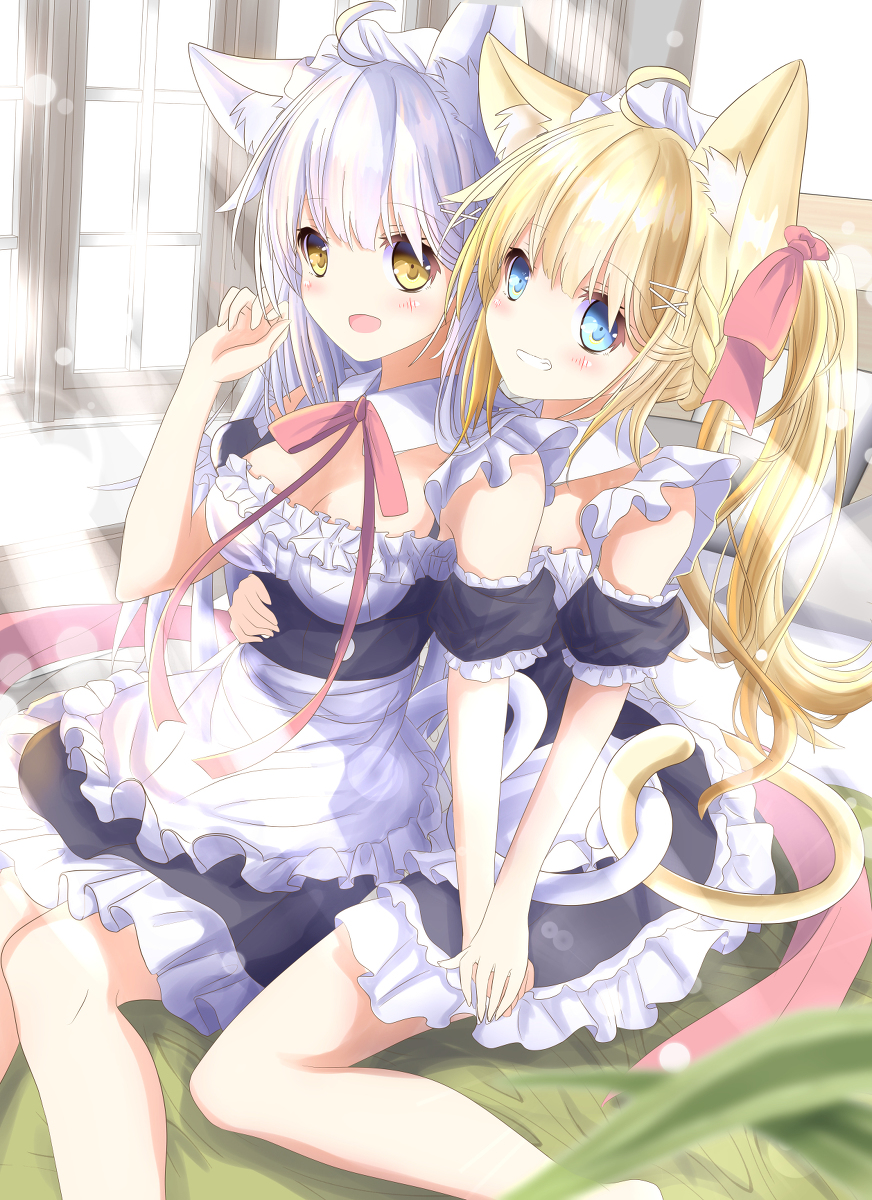 This is a pixiv picture whose title is 猫耳メイド金銀髪ちゃん.