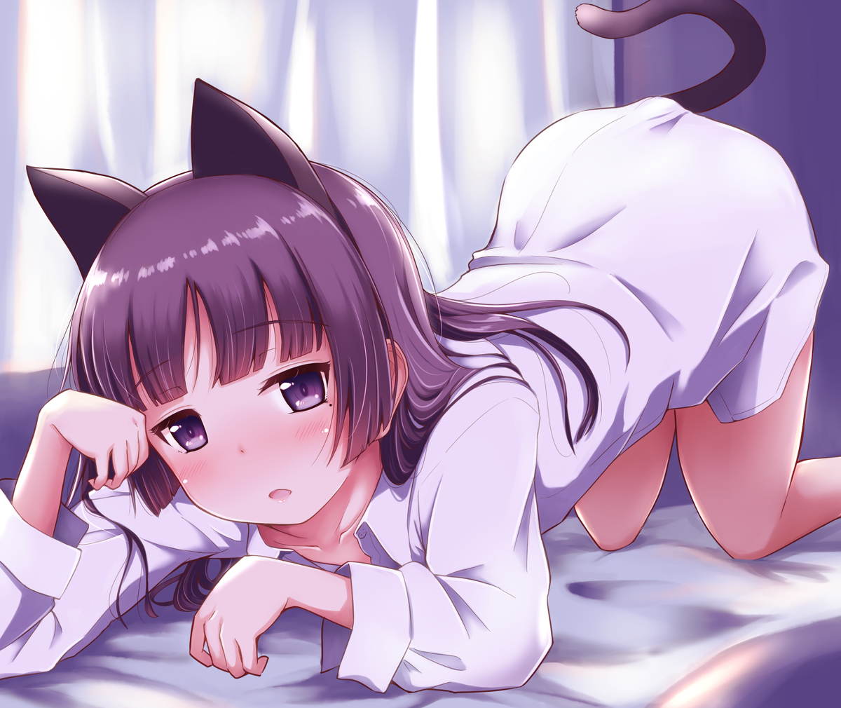 This is a pixiv picture whose title is 猫詰め・其の拾参【13】.