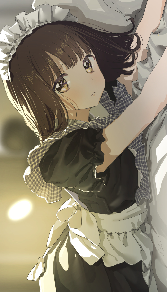 This is a pixiv picture whose title is おうちメイド.