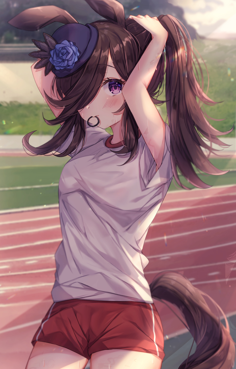 This is a pixiv picture whose title is ポニテライス.