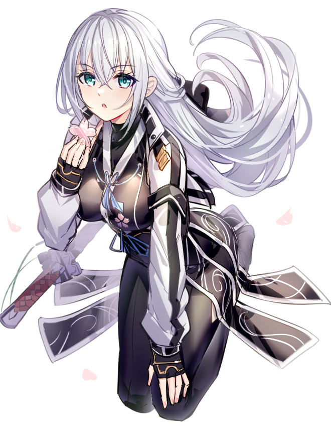 This is a pixiv picture whose title is 姫.