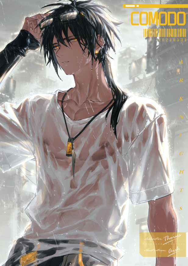 This is a pixiv picture whose title is Thorne.