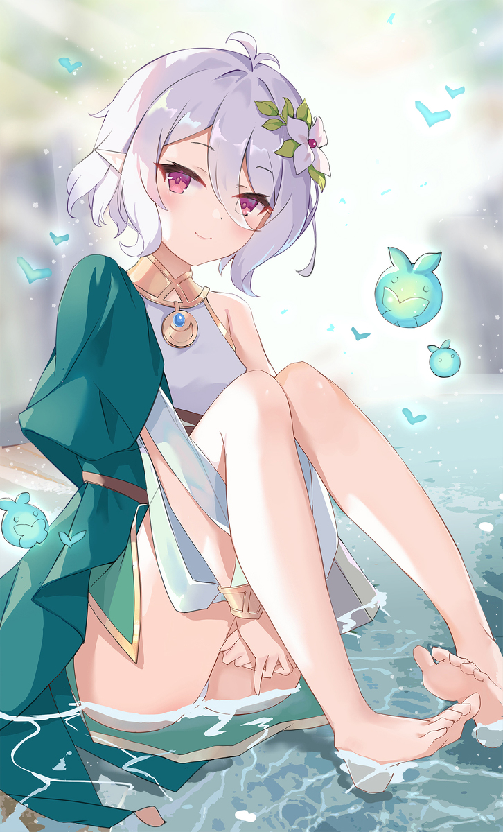 This is a pixiv picture whose title is コッコロ.