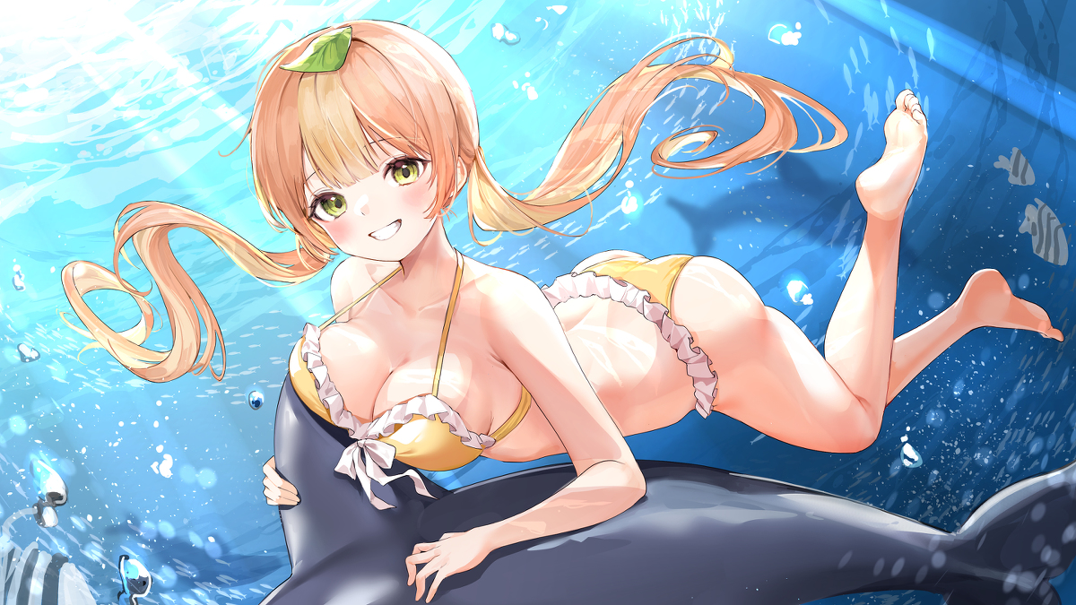 This is a pixiv picture whose title is Dolphin.