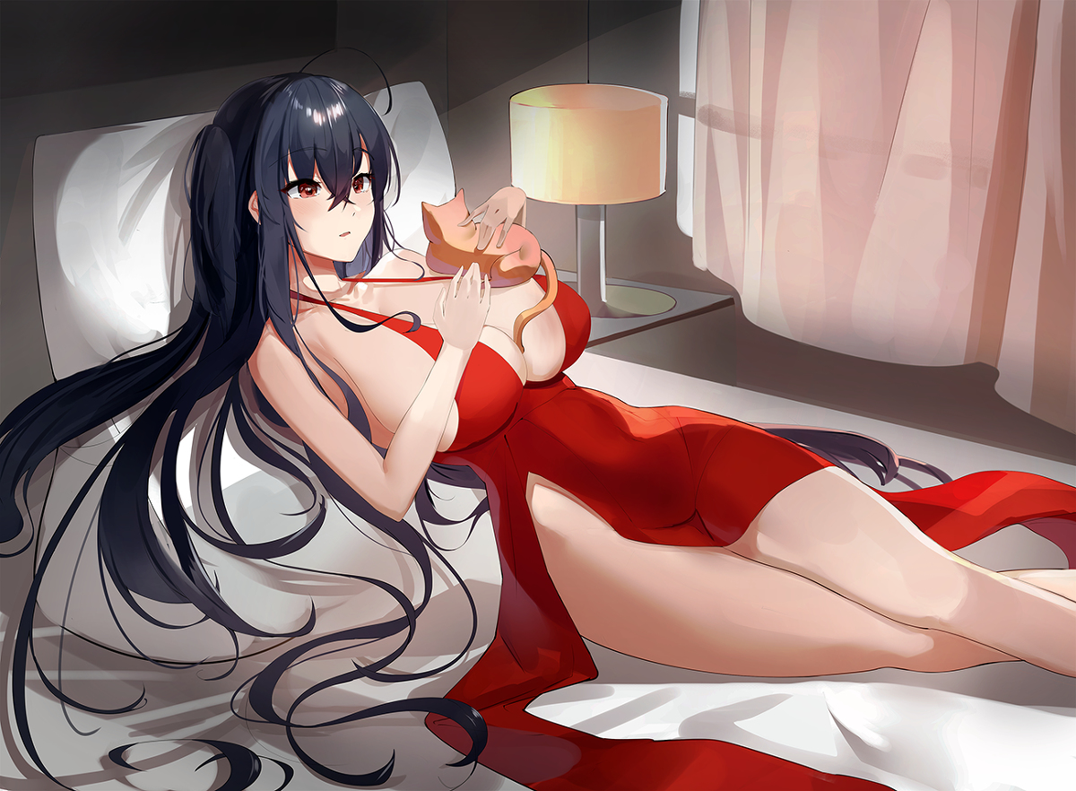 This is a pixiv picture whose title is 大鳳と猫.