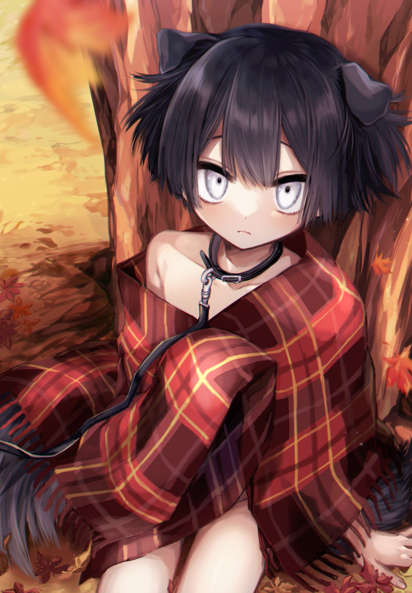 This is a pixiv picture whose title is PETIT.