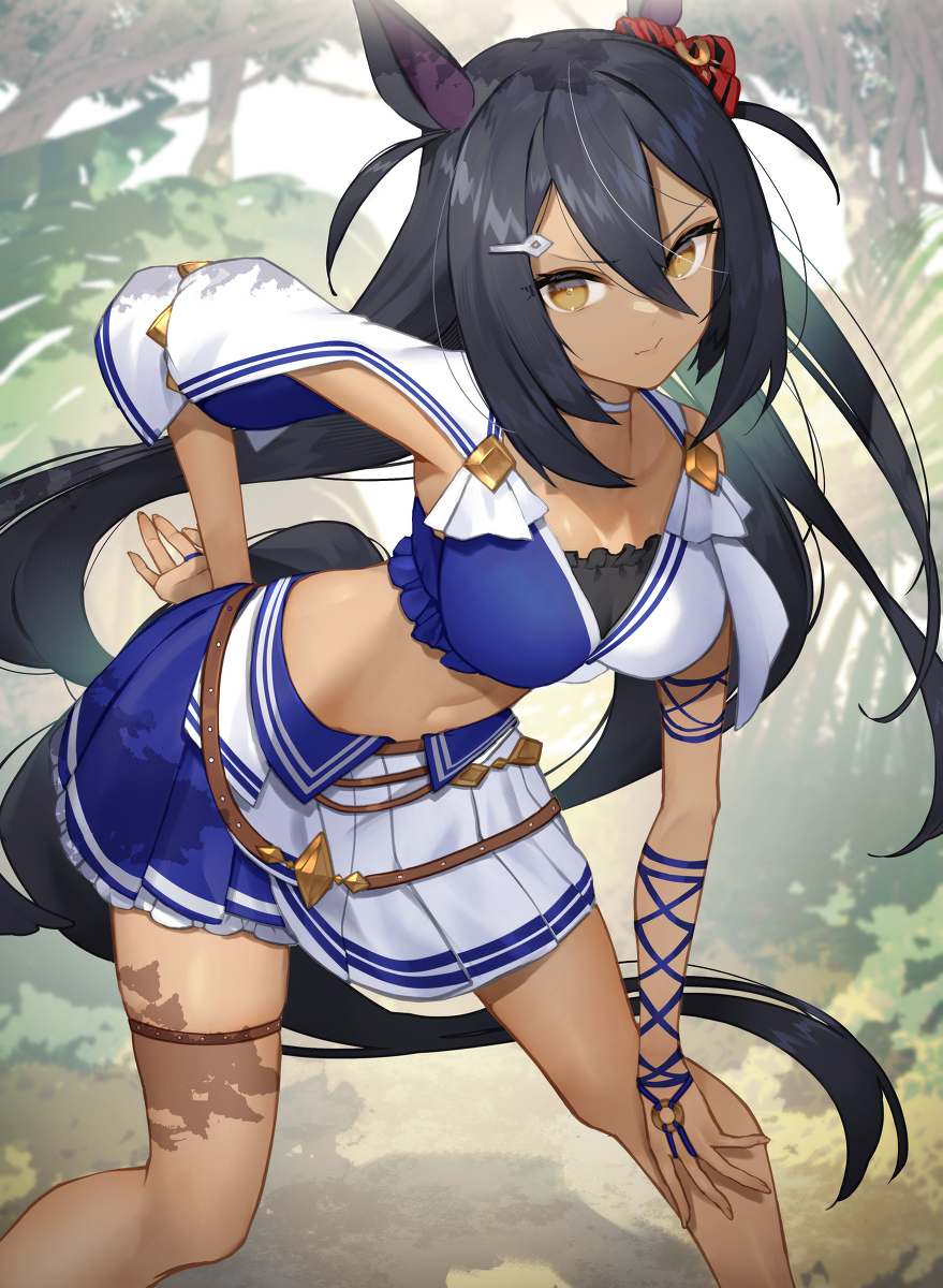 This is a pixiv picture whose title is ヒシアマゾン.