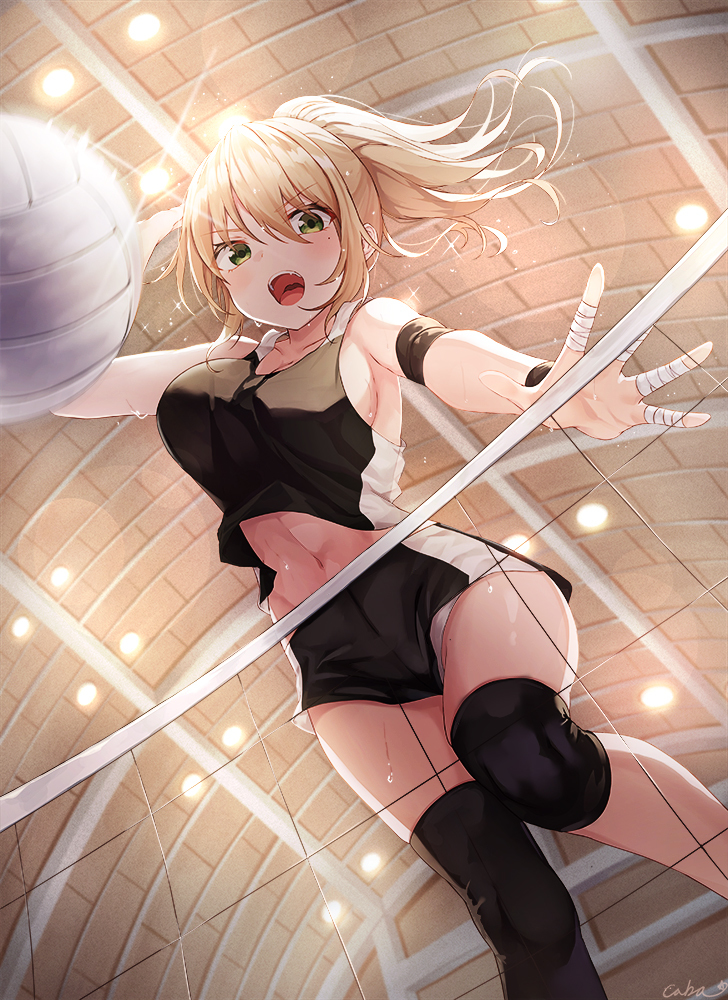 This is a pixiv picture whose title is バレーボール🏐.