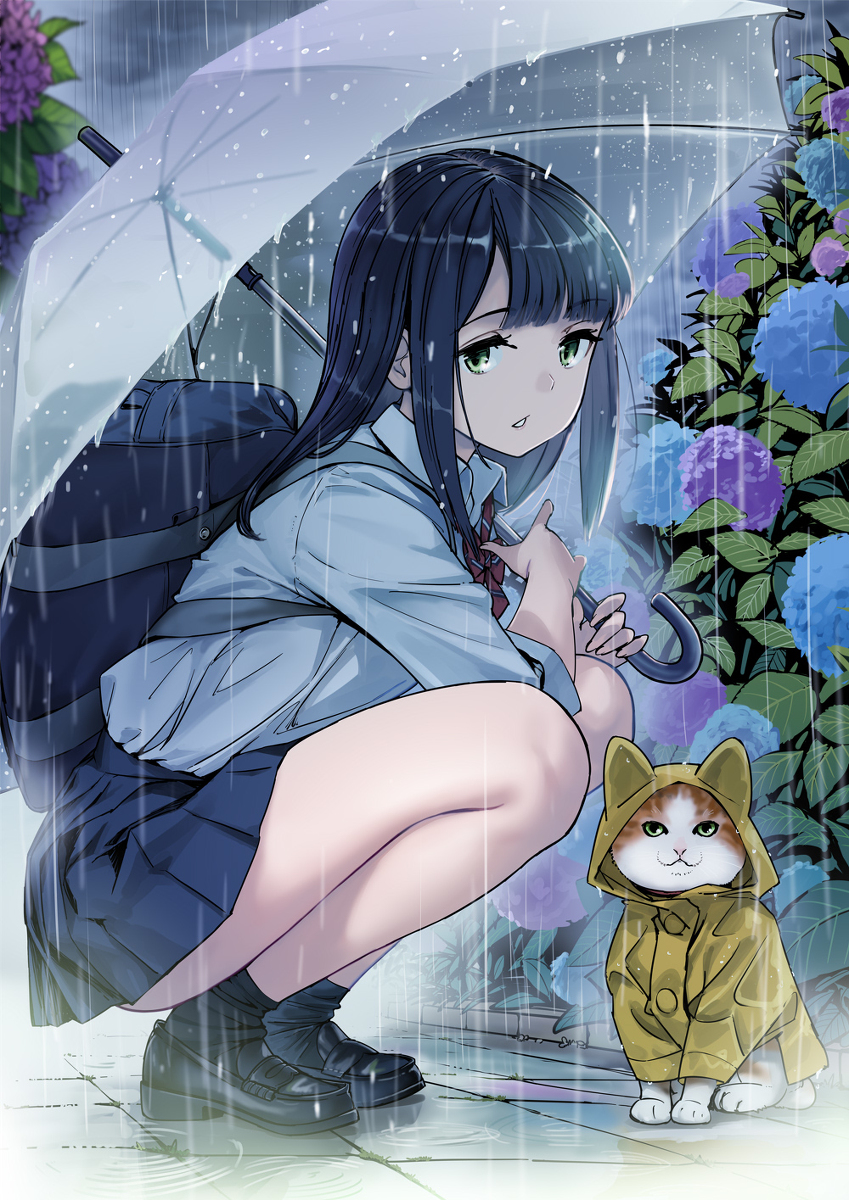 This is a pixiv picture whose title is 梅雨.