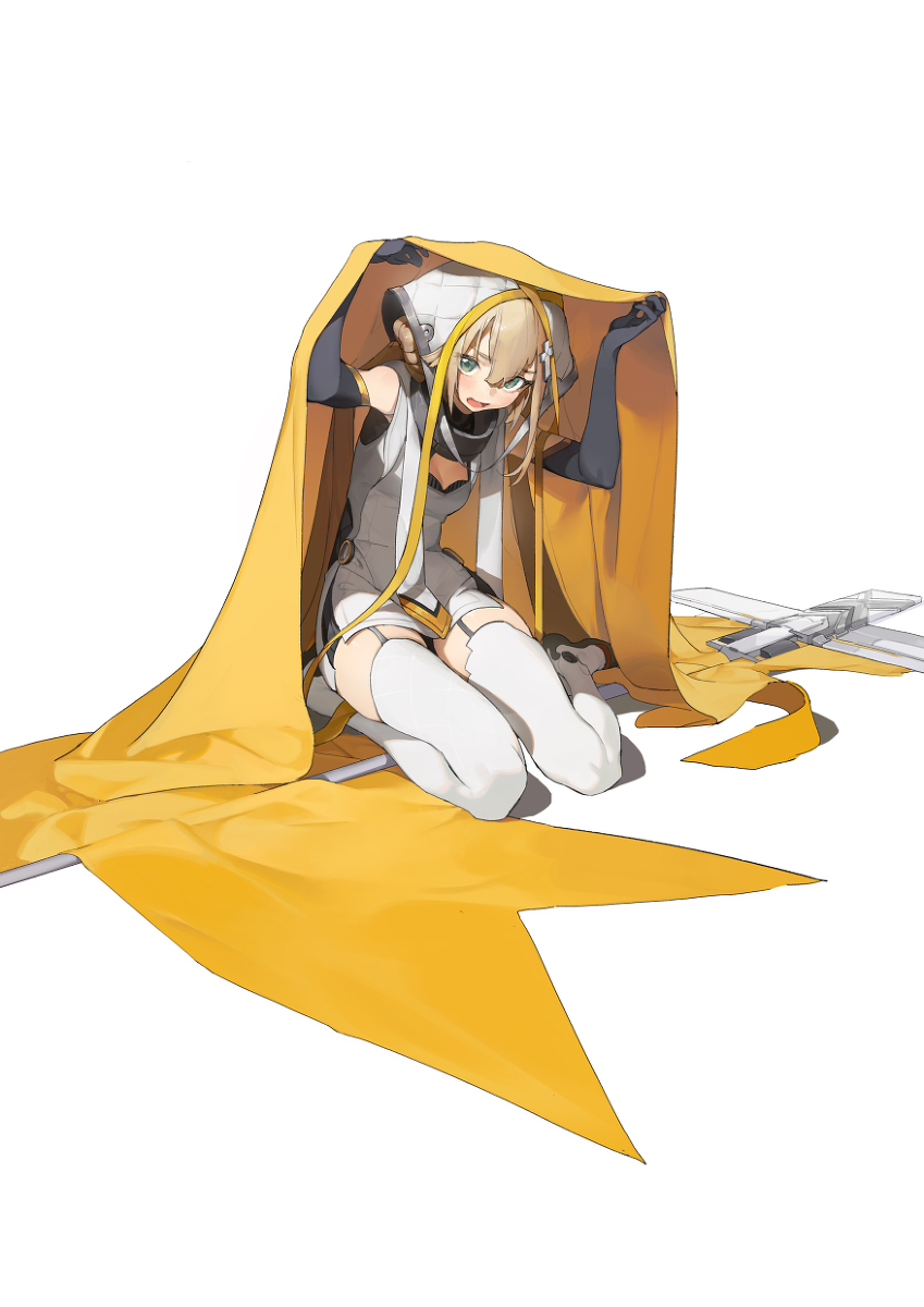 This is a pixiv picture whose title is 白夜極光 エイミー.