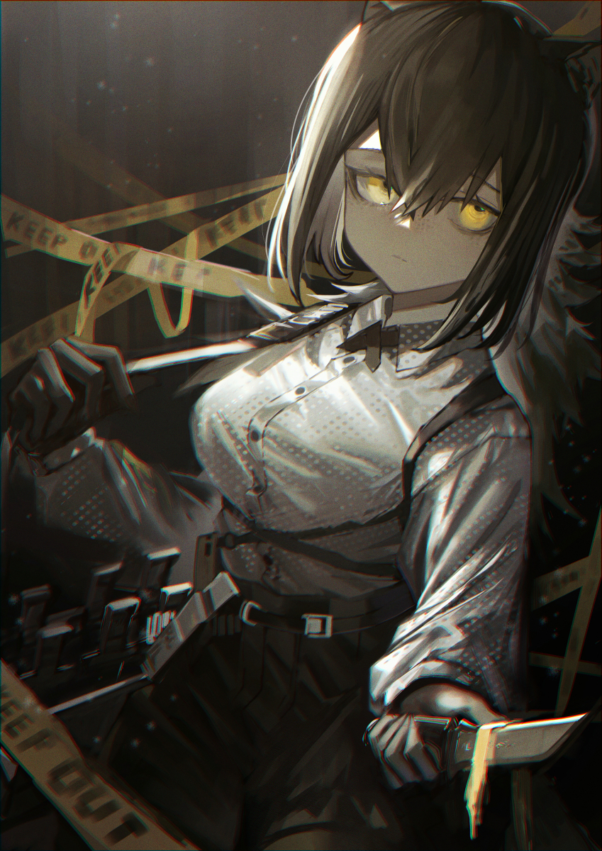 This is a pixiv picture whose title is ロビン.
