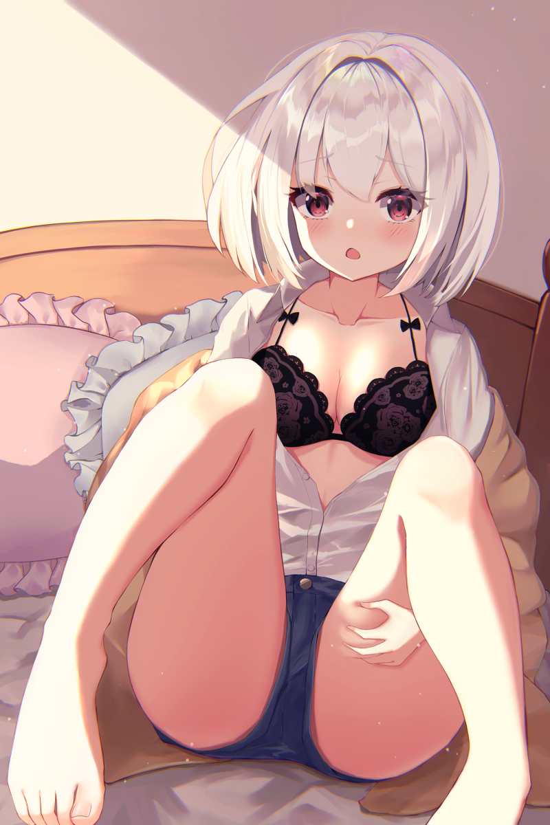 This is a pixiv picture whose title is OC.