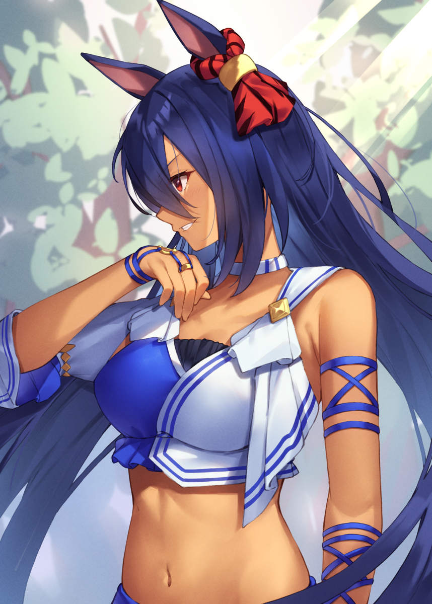 This is a pixiv picture whose title is ヒシアマ姐さん.