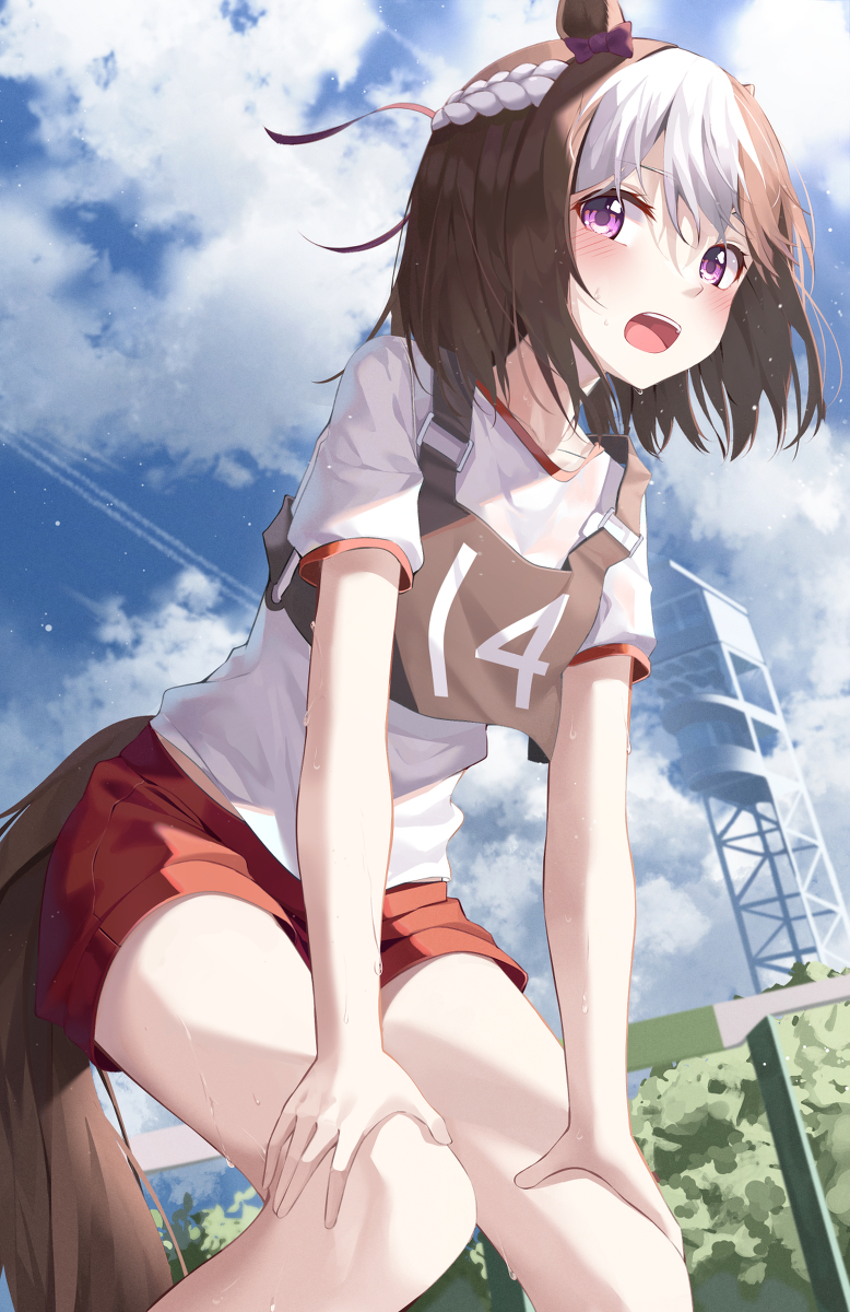 This is a pixiv picture whose title is スペちゃん!.
