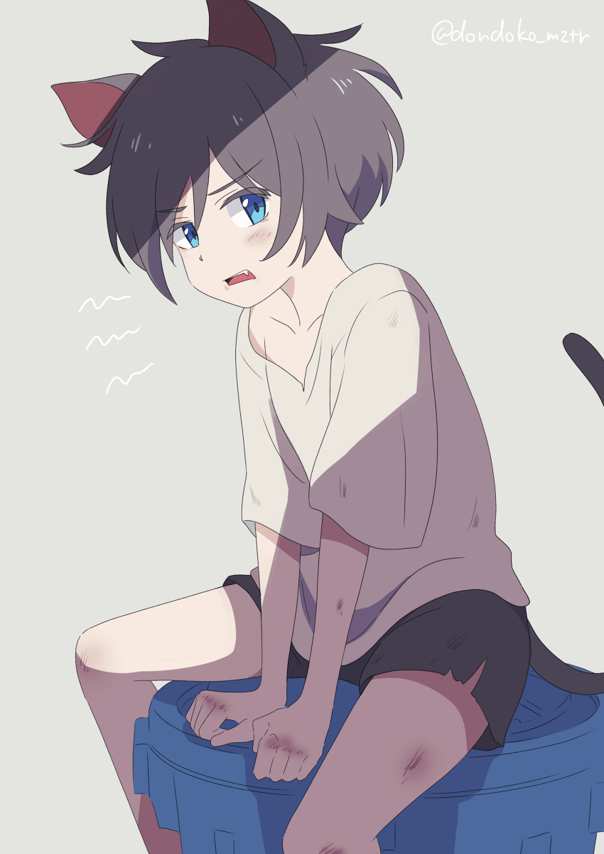 This is a pixiv picture whose title is 野良猫くん.