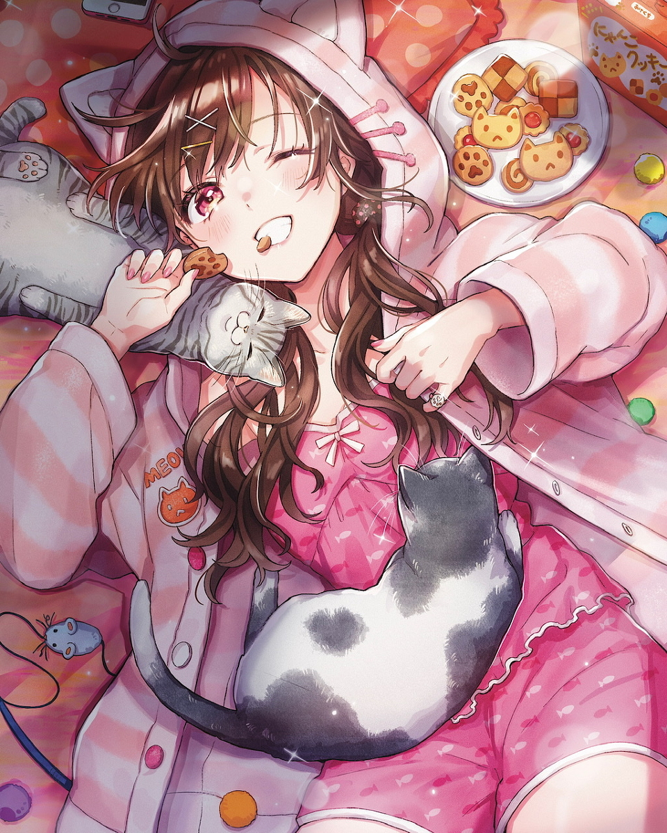 This is a pixiv picture whose title is 猫とねこパーカーとにゃんこクッキー.