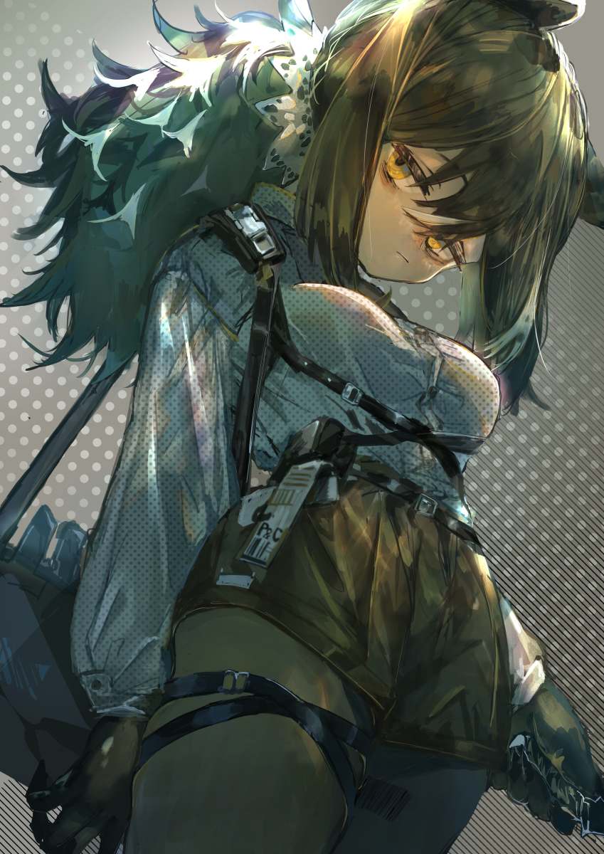 This is a pixiv picture whose title is ロビン.
