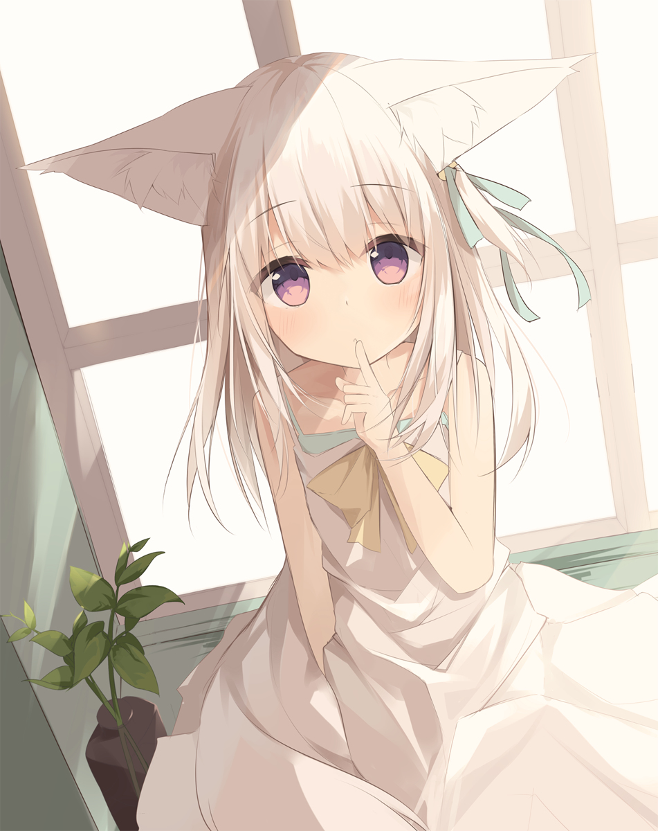 This is a pixiv picture whose title is しろきつね.