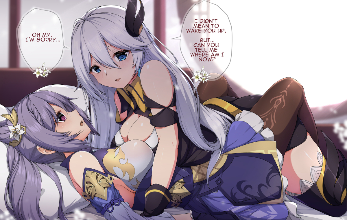 This is a pixiv picture whose title is Cecilia x Keqing.