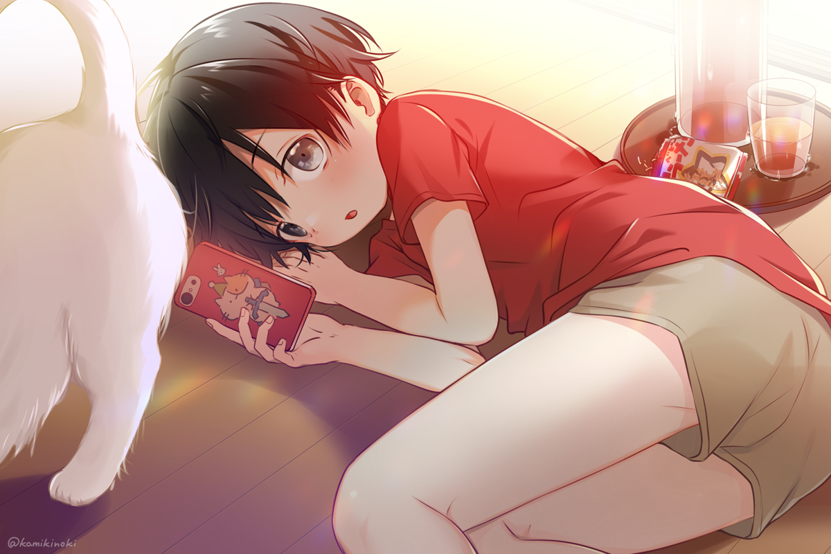 This is a pixiv picture whose title is あにゃる.