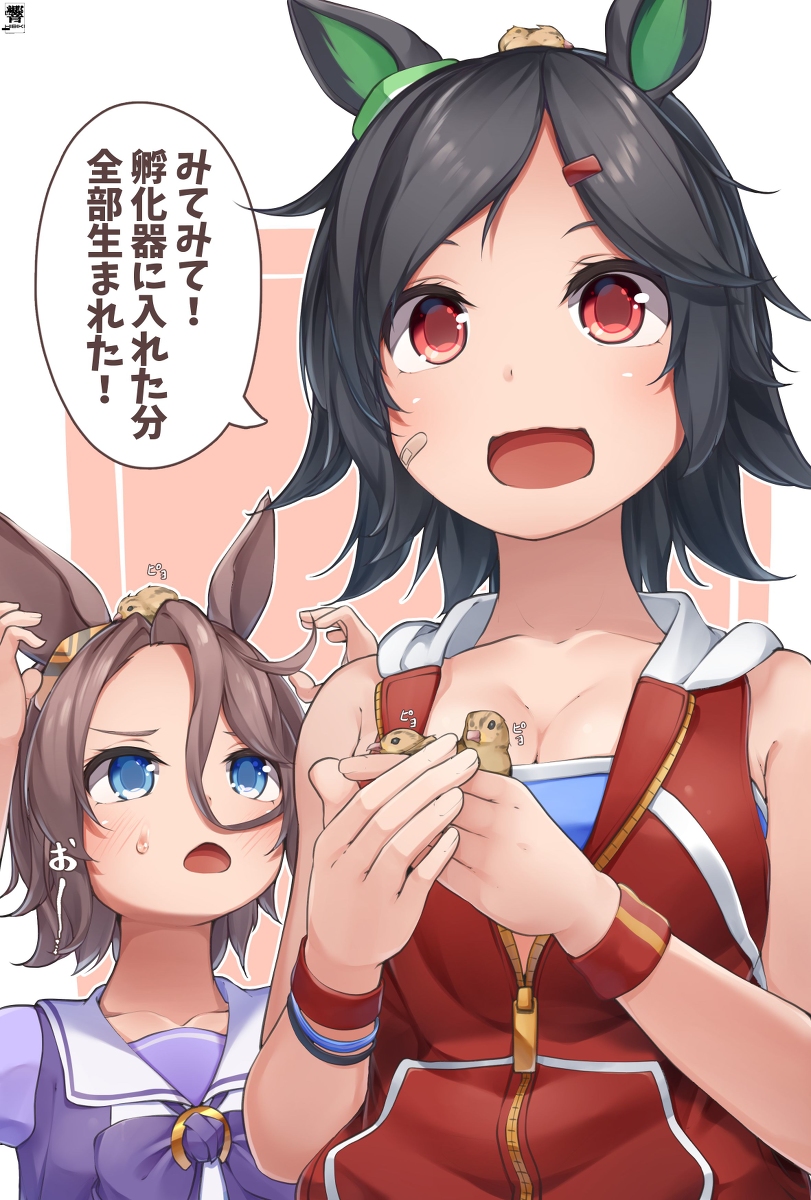 This is a pixiv picture whose title is うずらの孵化に成功したチケゾー.