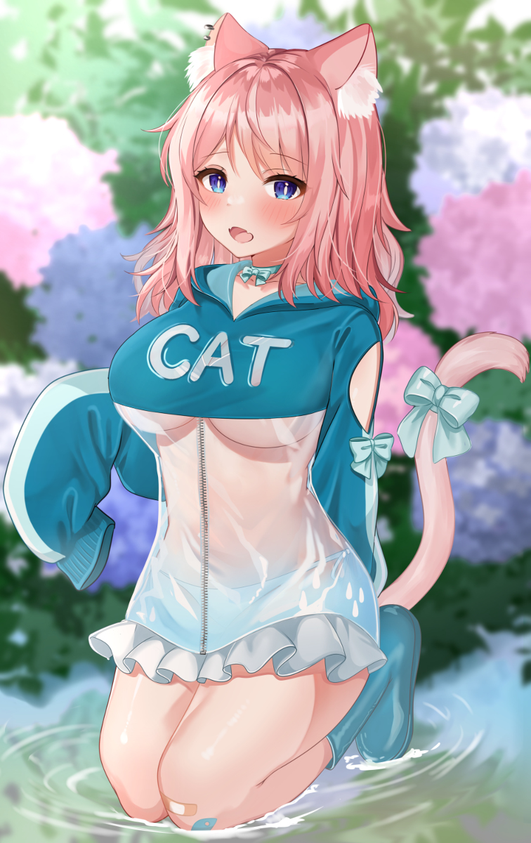 This is a pixiv picture whose title is catちゃん.
