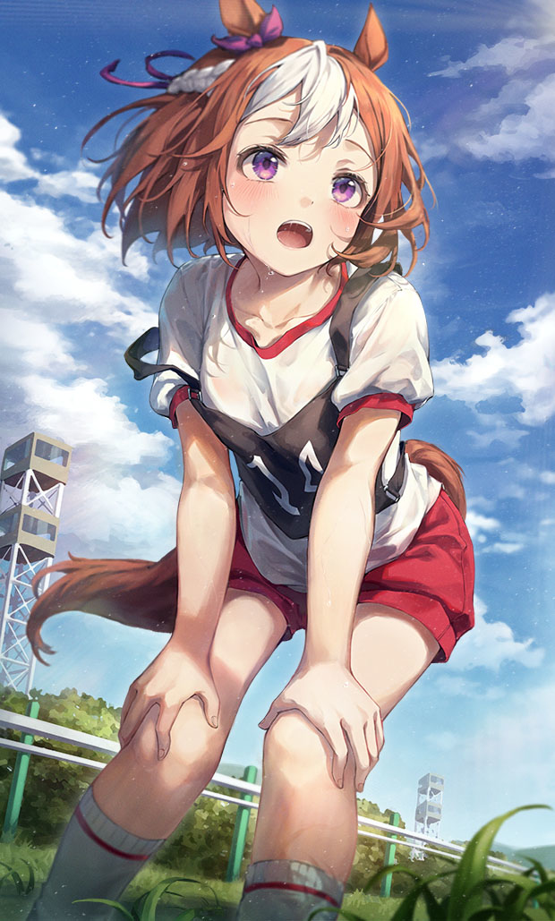 This is a pixiv picture whose title is 休憩中のスペちゃん.