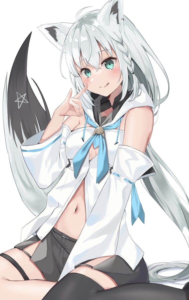 This is a pixiv picture whose title is こんこんきーつね！.