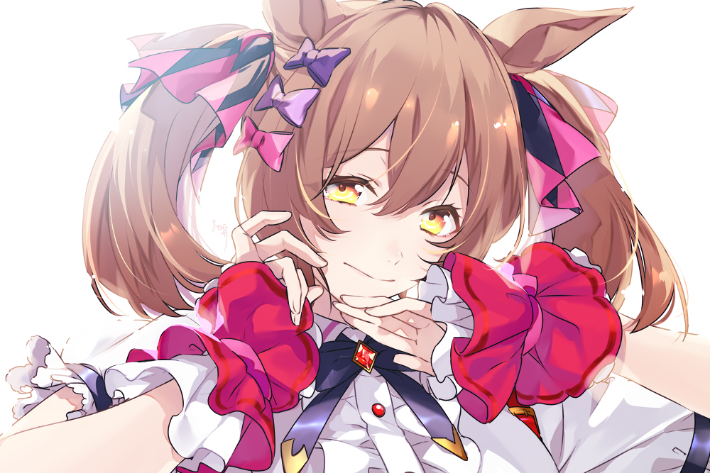 This is a pixiv picture whose title is 隼.