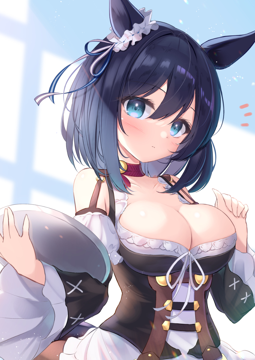 This is a pixiv picture whose title is エイシンフラッシュ.
