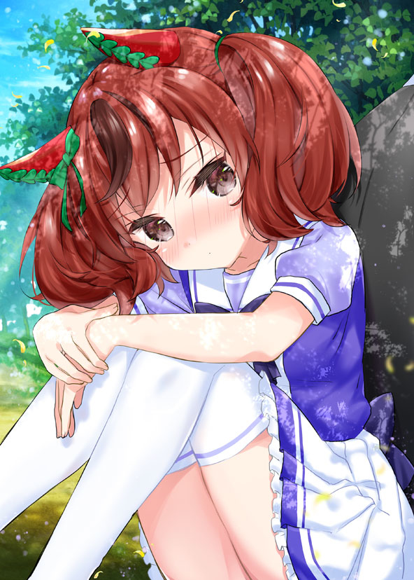 This is a pixiv picture whose title is トレーナーさんの背中だけは誰にも譲らないんだから…！.