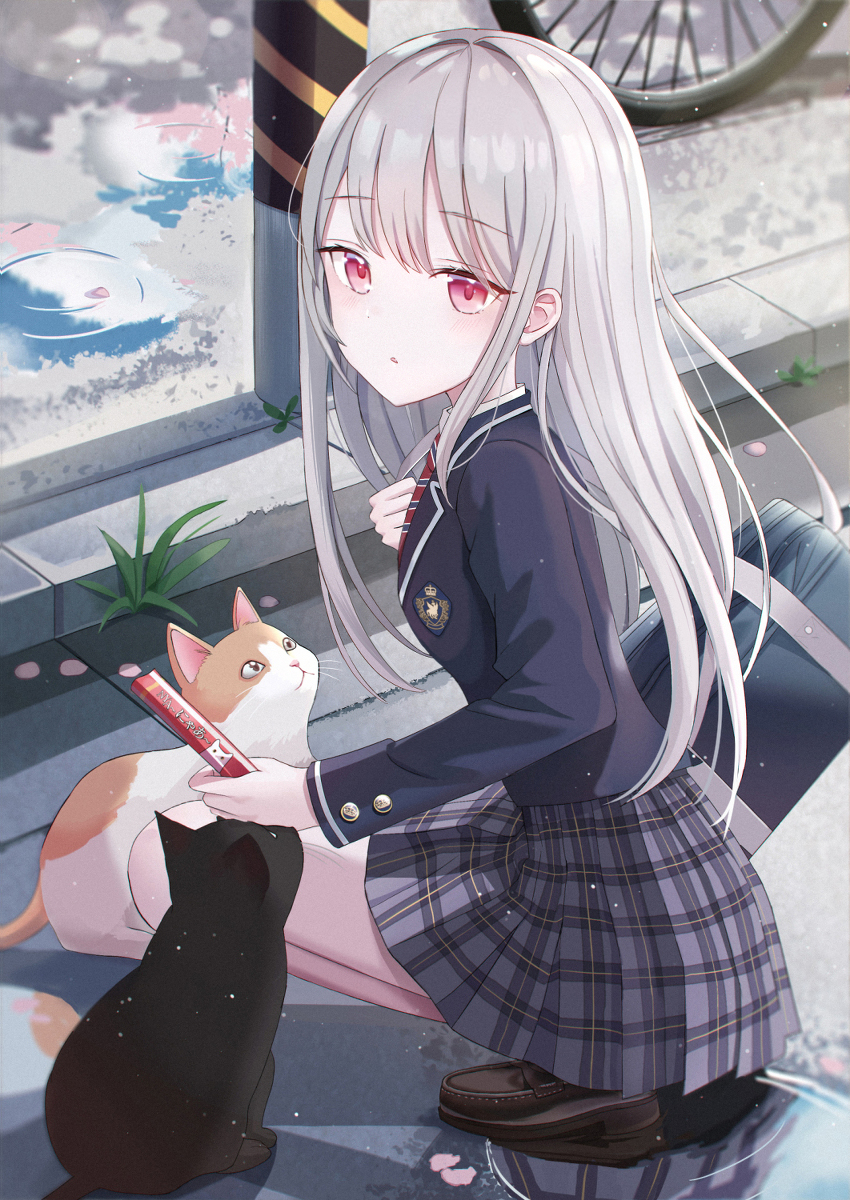 This is a pixiv picture whose title is 初出会い.