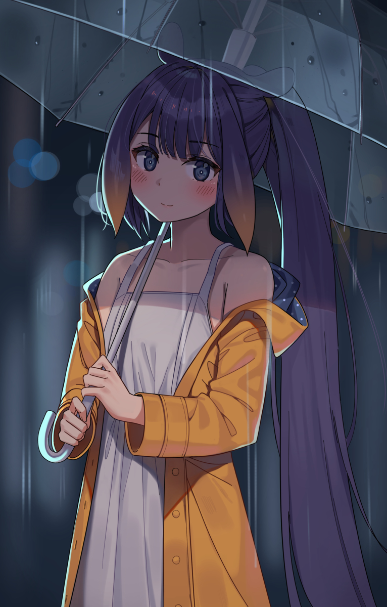 This is a pixiv picture whose title is 一伊那尓栖.