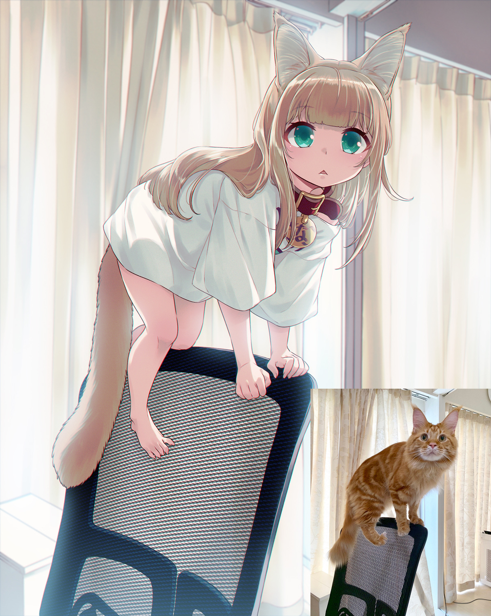 This is a pixiv picture whose title is 椅子の背もたれの上が好きなきなこ💺🐈.