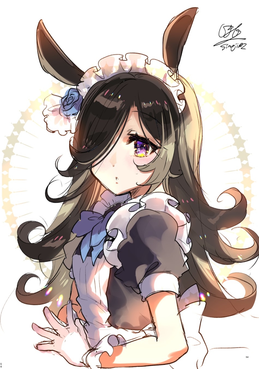This is a pixiv picture whose title is メイドライス.