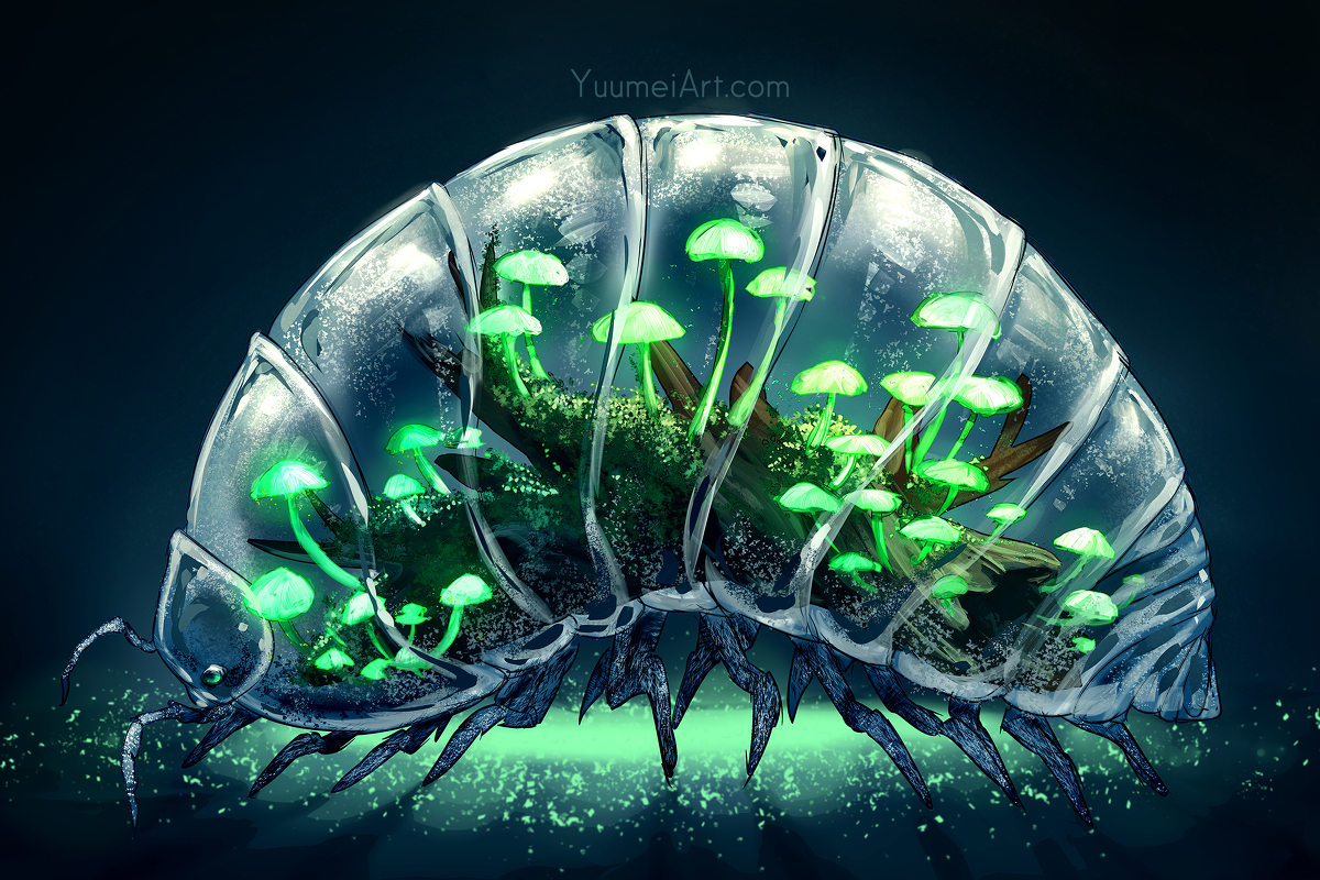 This is a pixiv picture whose title is Worlds Within Collection.