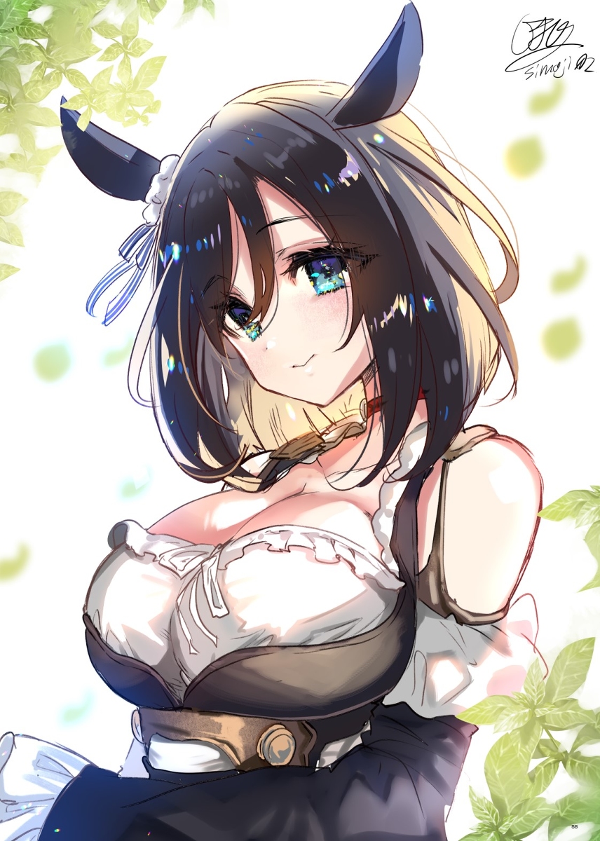This is a pixiv picture whose title is エイシンフラッシュ.