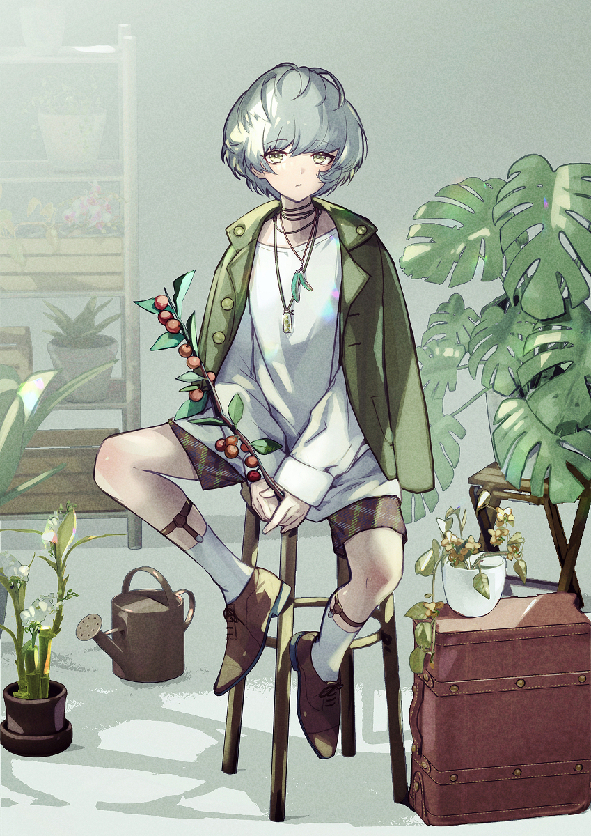 This is a pixiv picture whose title is 緑の部屋.