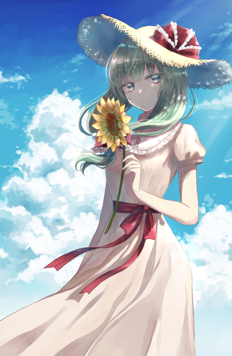 This is a pixiv picture whose title is 夏雛ちゃん.