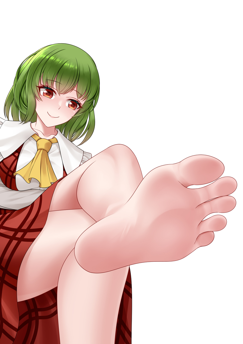 This is a pixiv picture whose title is 委託絵.