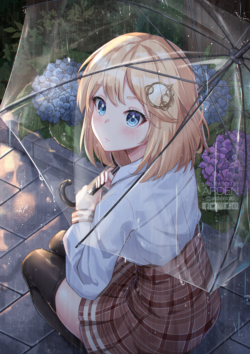 This is a pixiv picture whose title is 雨の中の雨.