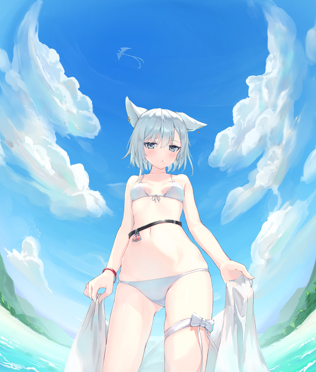 This is a pixiv picture whose title is 夏のケモミミ.