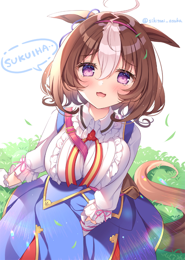 This is a pixiv picture whose title is こけちゃったメイショウドトウ.