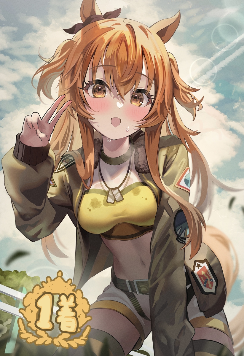 This is a pixiv picture whose title is 🛩.