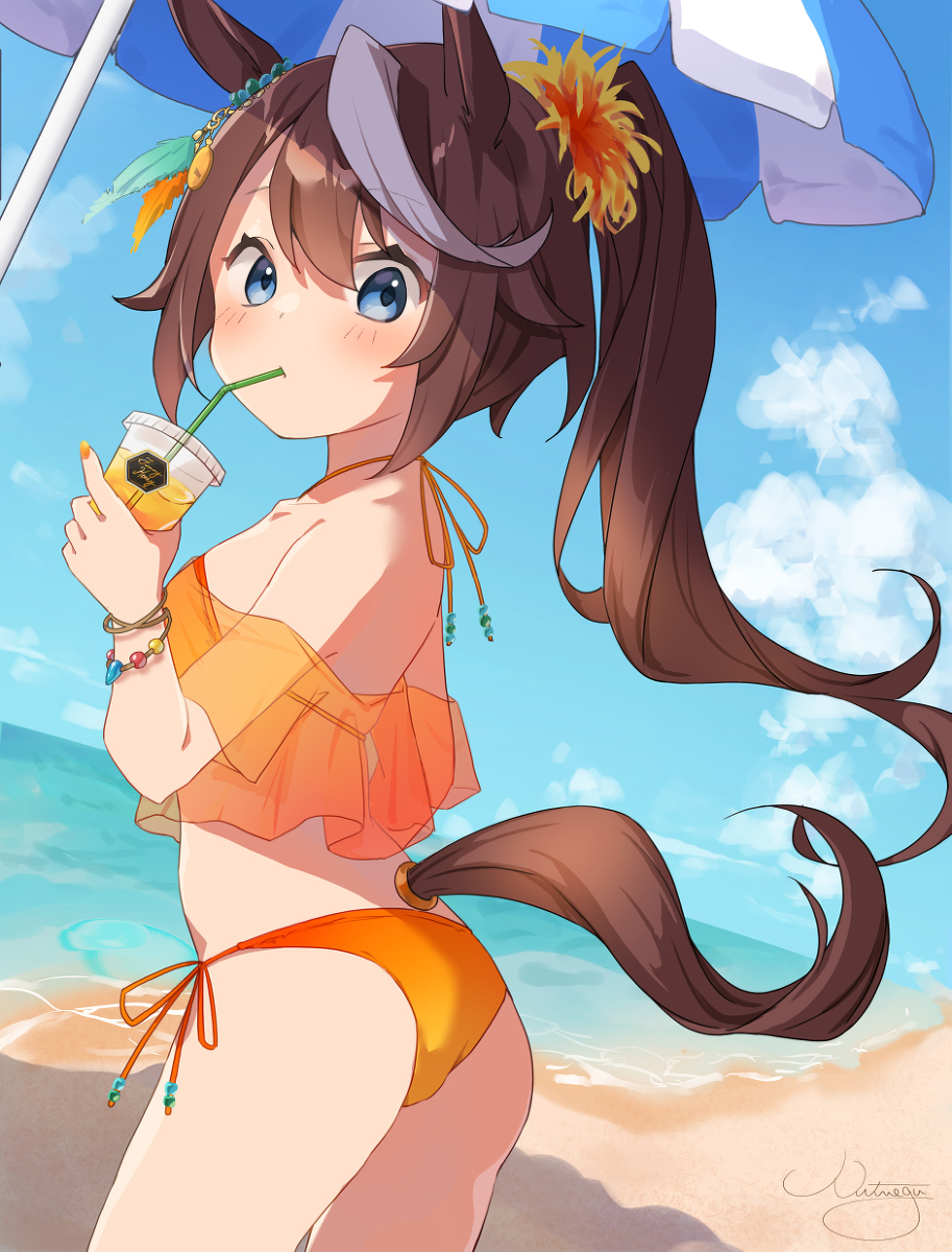 This is a pixiv picture whose title is 水着トウカイテイオー.