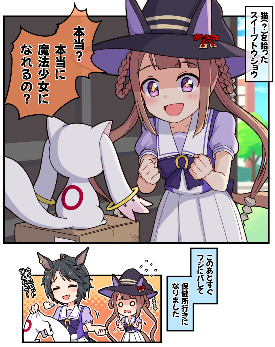 This is a pixiv picture whose title is 猫(？)を拾ったスイープトウショウ.