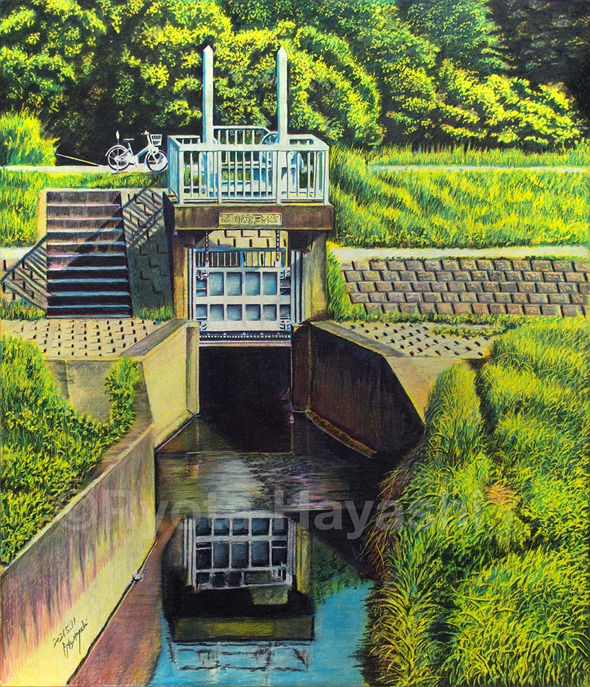 This is a pixiv picture whose title is 初夏　新座市大和田.
