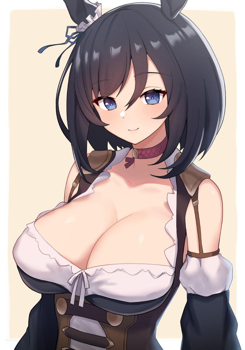 This is a pixiv picture whose title is エイシンフラッシュ.