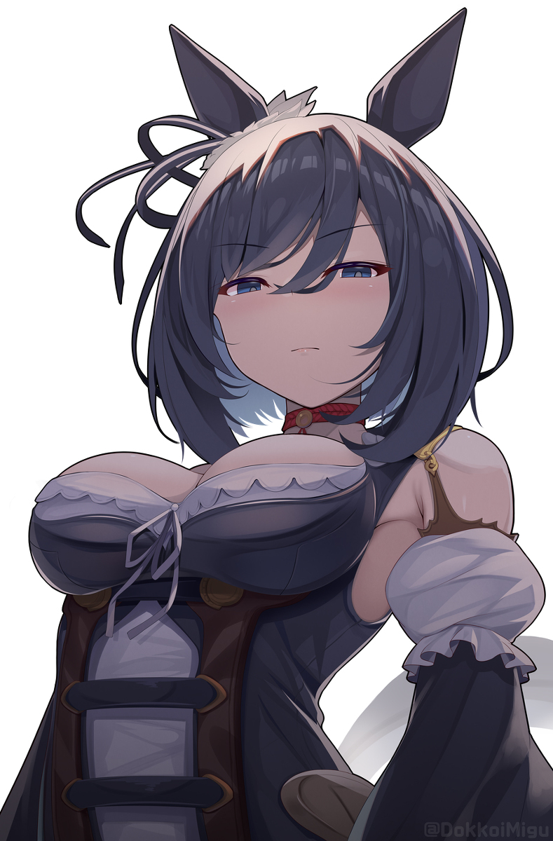 This is a pixiv picture whose title is エイシンフラッシュ.